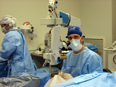Dr Parisi